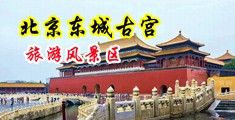 大鸡吧操女人视频中国北京-东城古宫旅游风景区